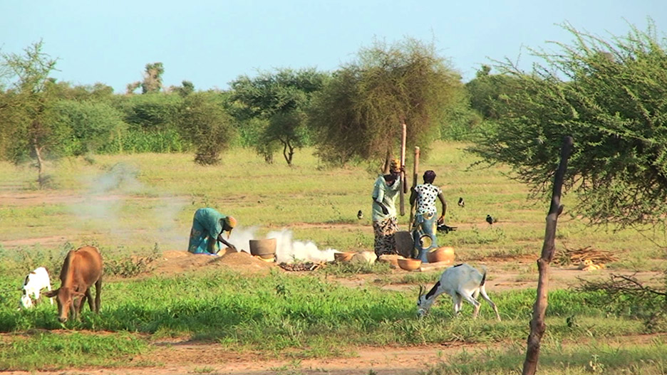 ladies pounding millet in field