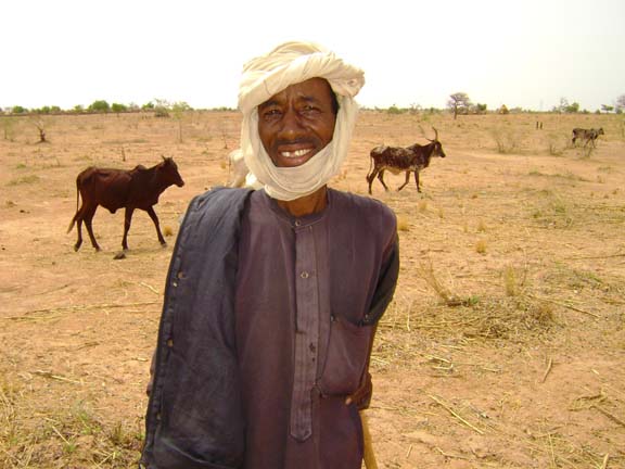 A nomadic shepherd with cattle in Niger